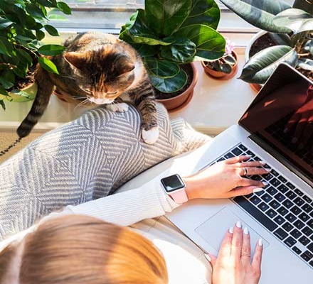 Woman using laptop with cat.