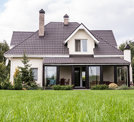 house surrounded by grass