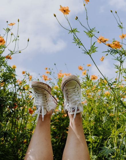 legs lifted toward sky in field of flowers